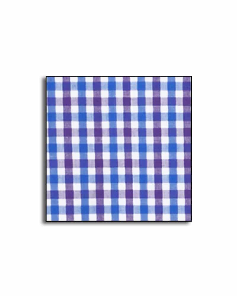 W SHISBluePurpleSwatch